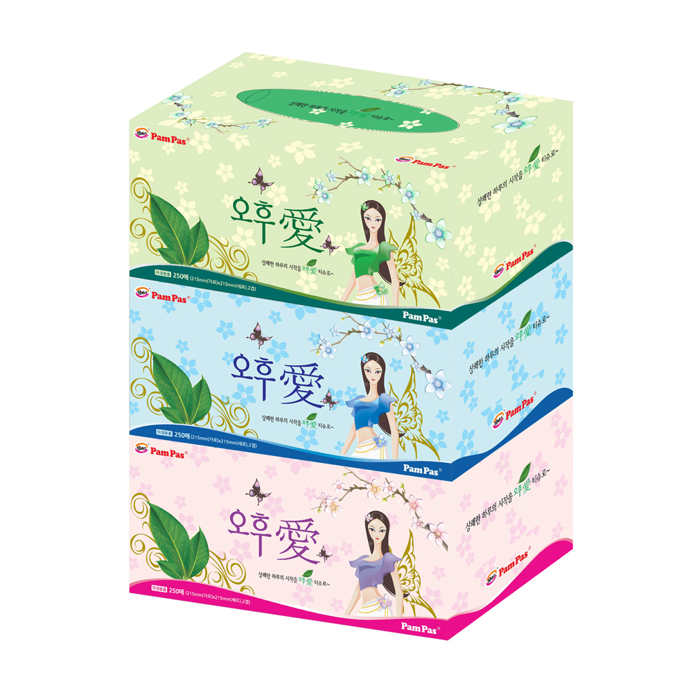 팜파스 오후애 각티슈 직사각 250매